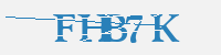 보안문자